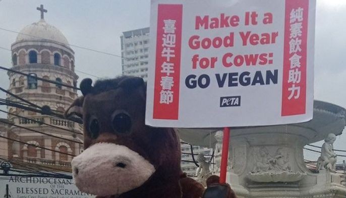 Dancing 'cow' says 'ox' to veganism ahead of Chinese New Year 2021 celebration