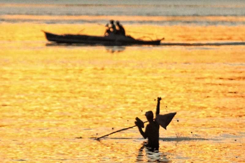 Visayan Sea fishing ban lifted