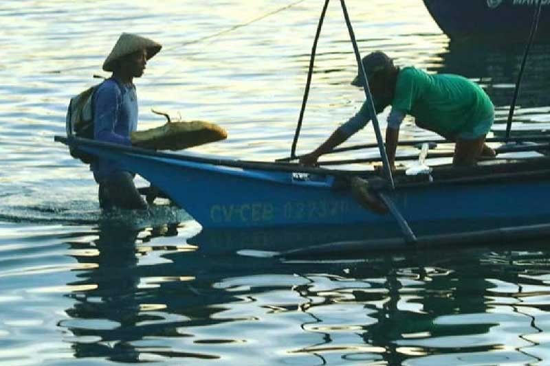 BFAR: Avoid overfishing the Visayan Sea