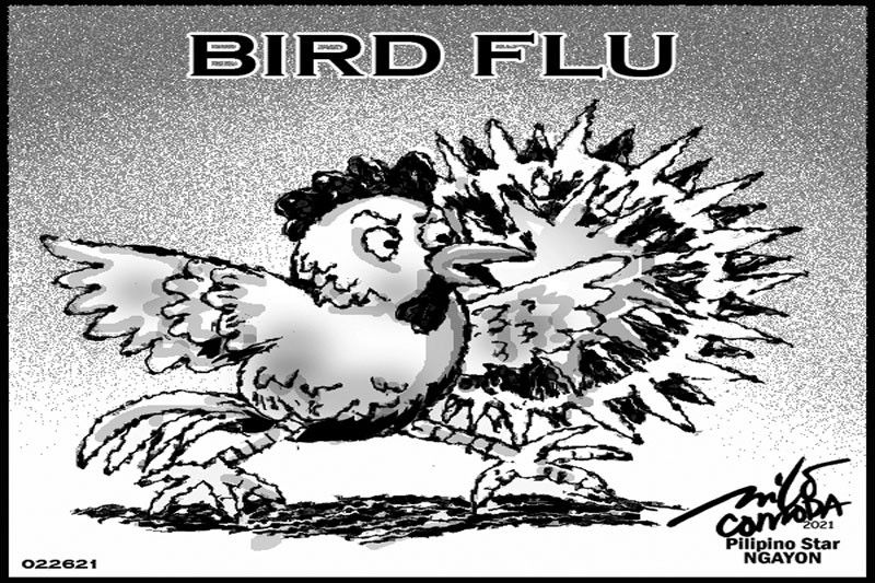EDITORYAL - Maging alerto sa bird flu