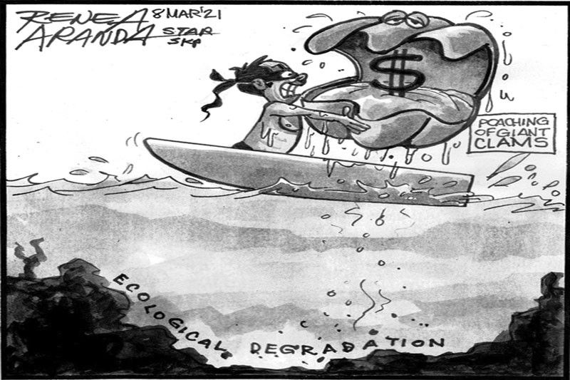 EDITORIAL - Illegal harvest