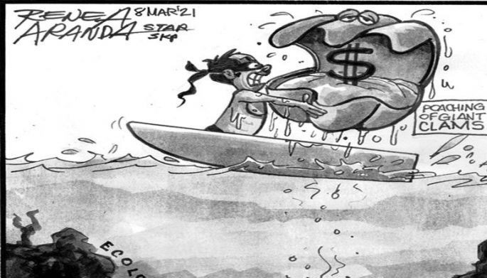 EDITORIAL - Illegal harvest