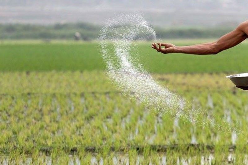 Sandigan clears private supplier in fertilizer scam
