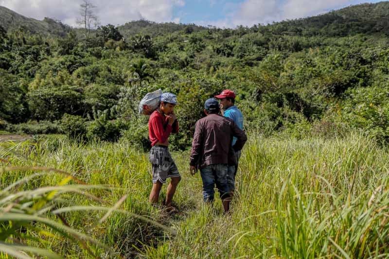 Three men walk in a wooded area in the Philippines.