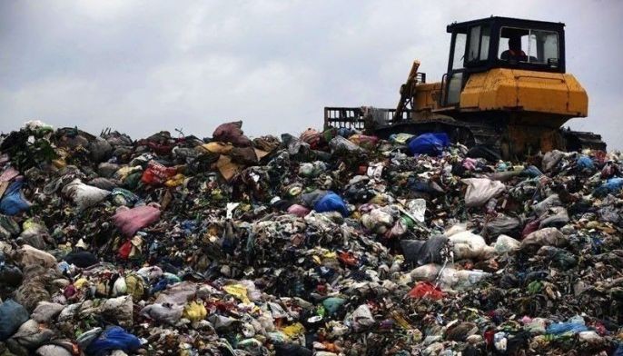 UNEP: Over 930 million tons of food wasted in 2019
