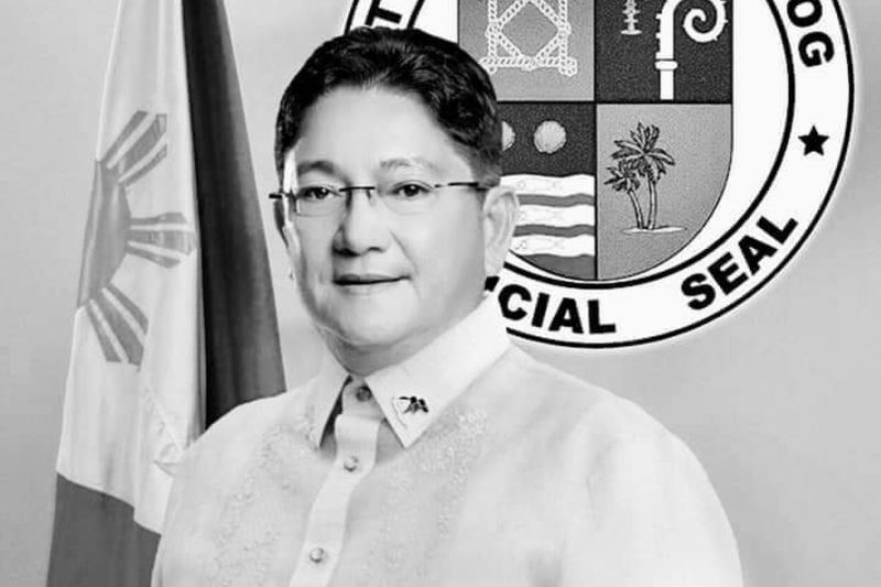 Lawmaker contests 'shootout' tag in ambush-slay of Calbayog City mayor