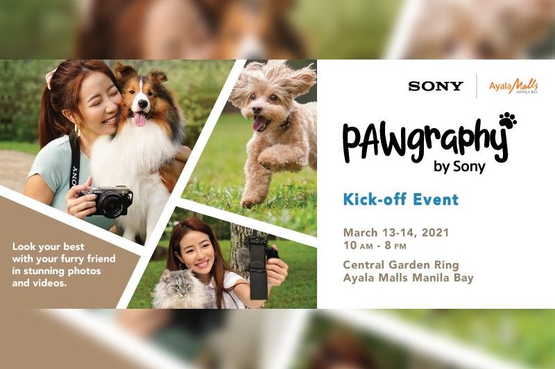 Sony offers FREE photo, video tutorials for pet owners