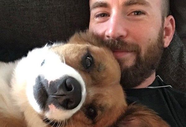 Chris Evans: Dog adoption the smartest decision I've ever made