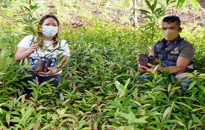 Farmers earn from Cagdianao Miningâ��s greening program