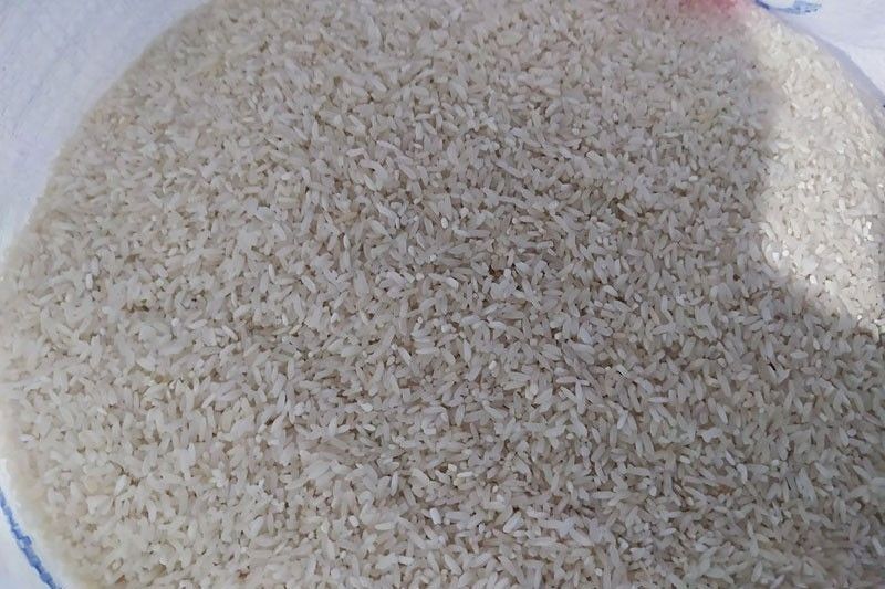 Rice inventory down in February