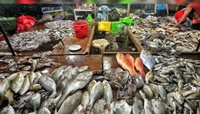 Mangingisda gikan sa Bohol dili pa makadunggo sa Pasil