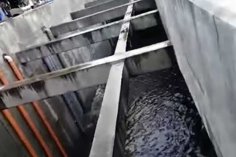 Flood leaves Mambaling underpass impassable for hours