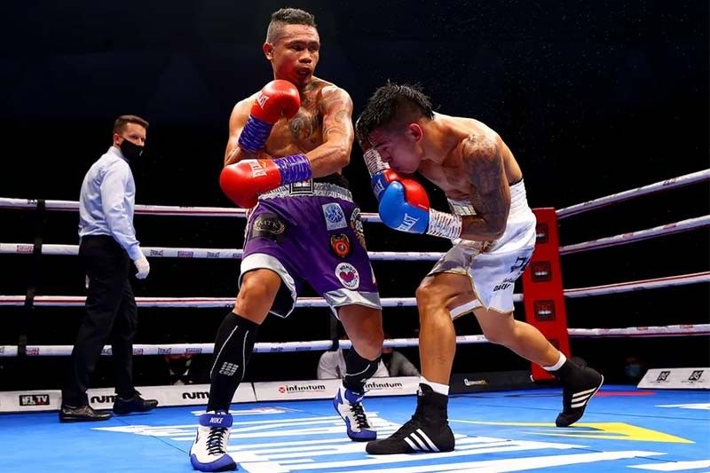 Nietes outpoints Carrillo in triumphant return