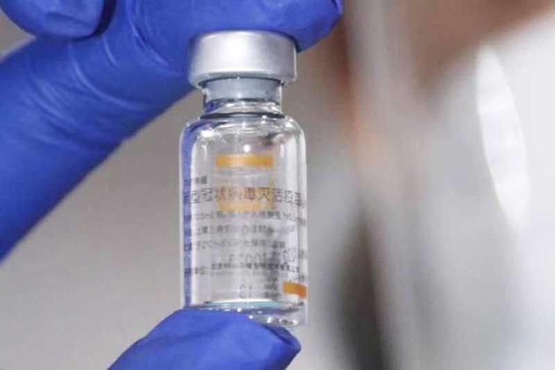 More Sinovac vaccines arrive in Cebu