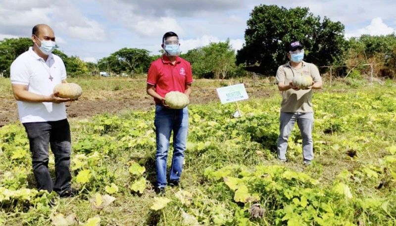 Bayer Philippines builds vegetable farm in Laguna