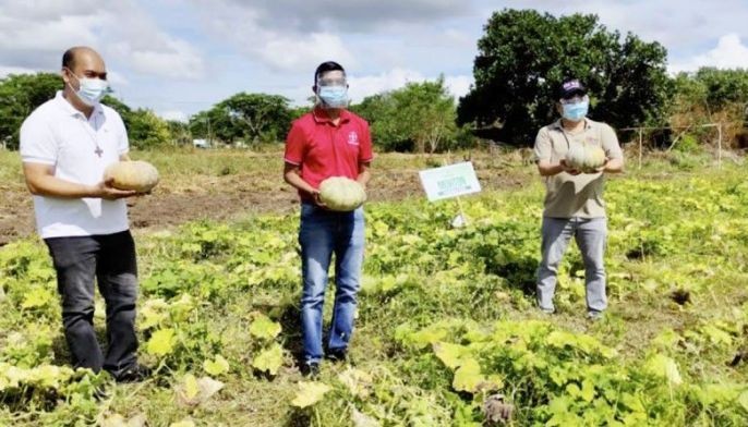 Bayer Philippines builds vegetable farm in Laguna