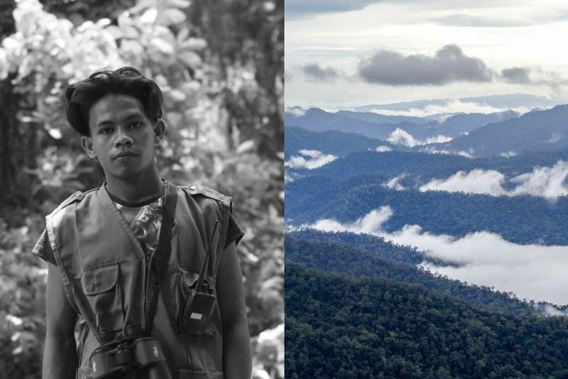 Art raffle raises funds for forest rangers in Philippines' biggest critical habitat