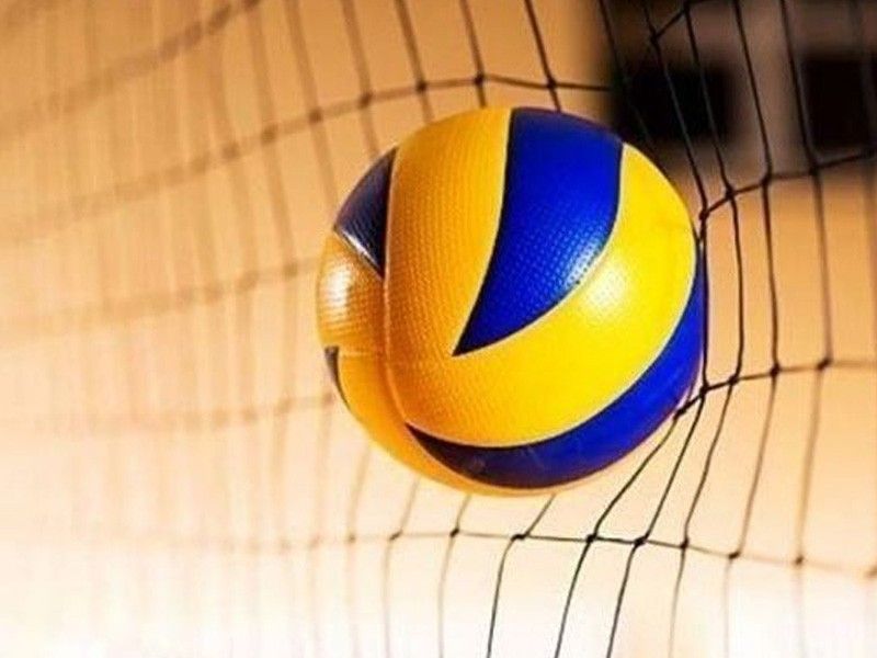 Brazilian coach tapped to help SEAG-bound women's volleyball team