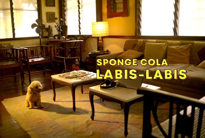 Adorable puppies star in Spongecola's new 'Labis-labis' music video