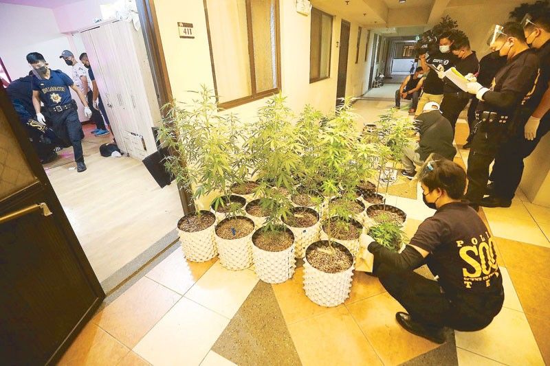 Indoor marijuana farm found in Taguig condo