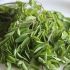 Malunggay health benefits: Inflammation reduction, recovery support, and more
