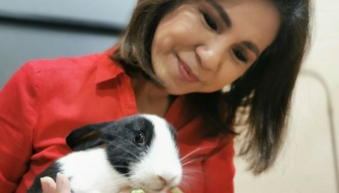 Getting a &lsquo;pandemic pet' in the Philippines: Is it for you?