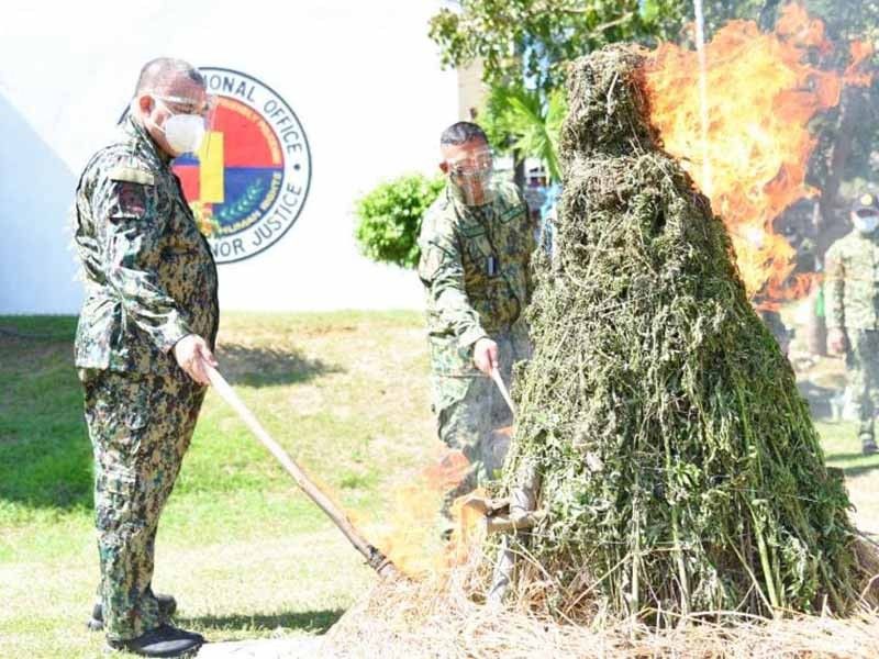 Here's why and how the PNP burns marijuana that it confiscates