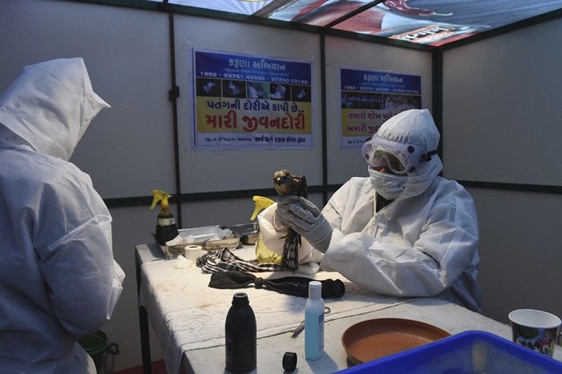 China confirms first human case of bird flu strain