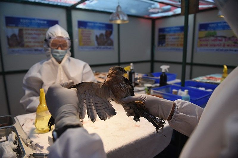 What we know: First human case of H10N3 bird flu