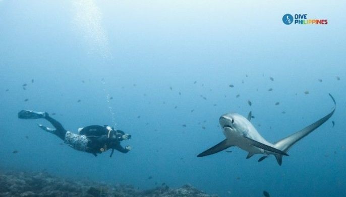 LIST: 5 Philippine dive spots now open; affordable RT-PCR test options for travelers