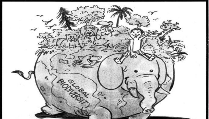 EDITORIAL - Ecosystem restoration