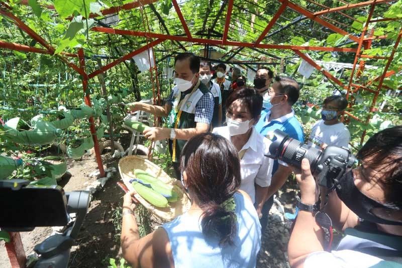 Cebu Provinceâ��s SUGBUsog earns praises from agriculture chief