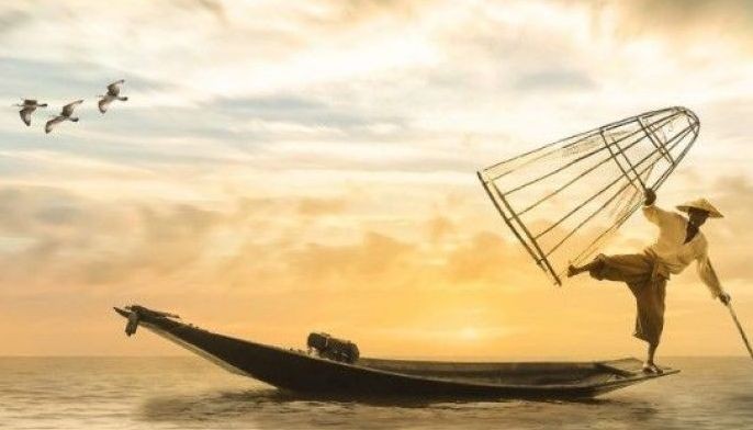 Yemen fishermen hit jackpot with million-dollar find in whale's belly