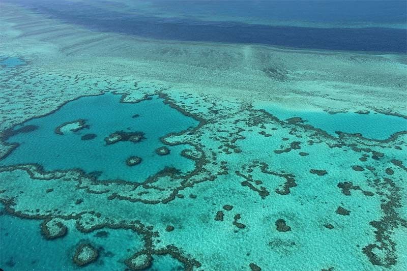 'Urgent' for Australia to protect Great Barrier Reef â�� UNESCO
