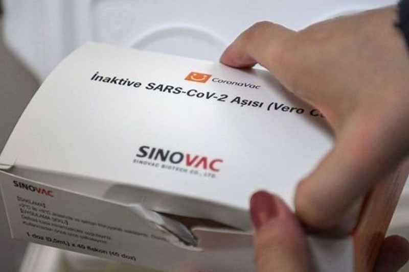 20,800 doses sa Sinovac vaccines niabot sa Sugbo