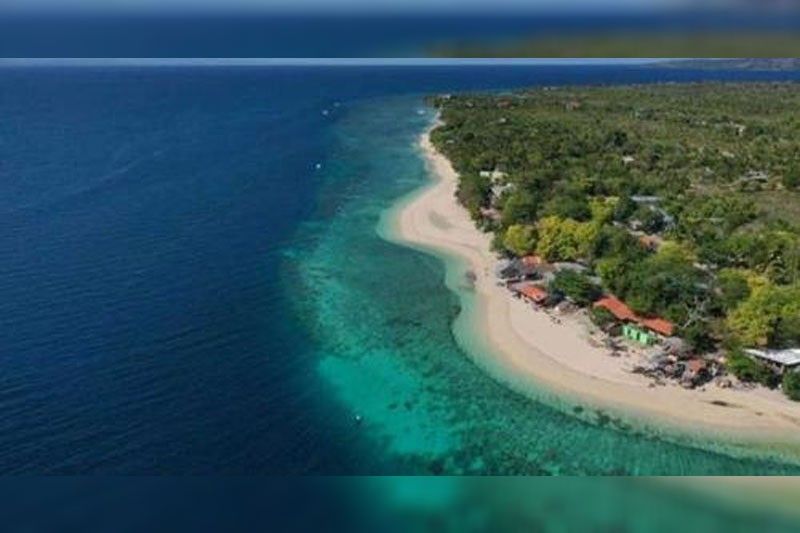 Lungsod sa Moalboal mangolekta og EUF sa beachgoers