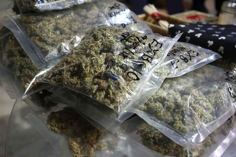 P1.2 milyong marijuana nasabat sa apat