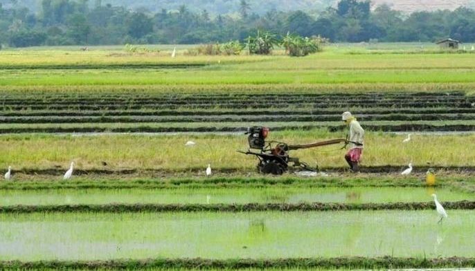 Agri-agra loans post 2-digit growth in Q1
