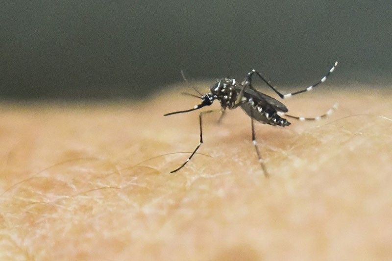 China certified malaria-free after 70-year fight