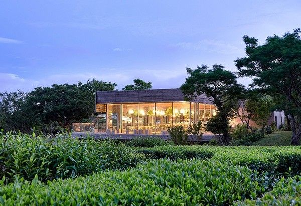 Innisfree opens green tea farms as homestay for Jeju Island travelers
