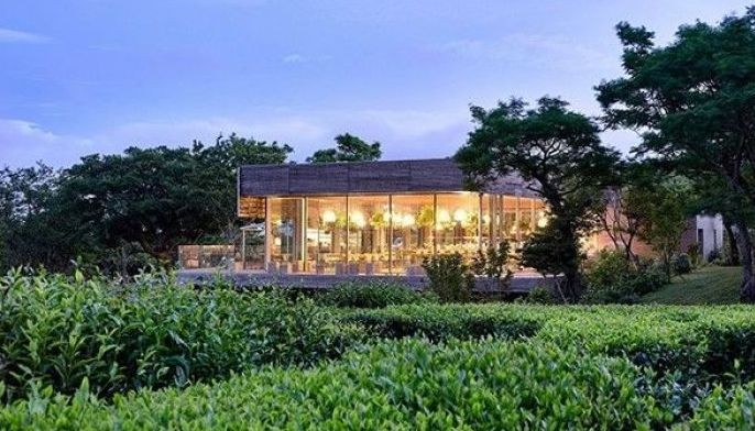 Innisfree opens green tea farms as homestay for Jeju Island travelers