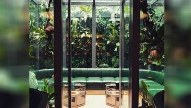 New home trend: What is Biophilic Design?