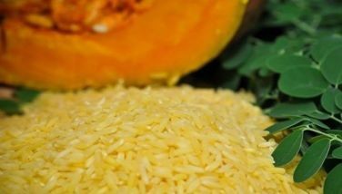 In a statement, Philippine Rice Research Institute (PhilRice) executive director John de Leon said a biosafety permit for propagating Vitamin A insufed Golden Rice was issued on July 21 by the Department of Agriculture-Bureau of Plant Industry.