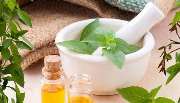 How to get rid of pests: DIY home remedies for pest control