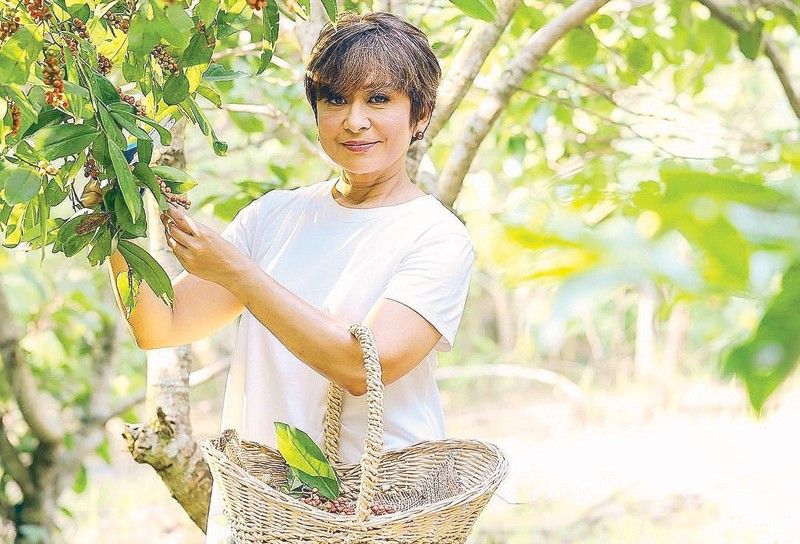 Ces Drilon finds healing in the probinsya life