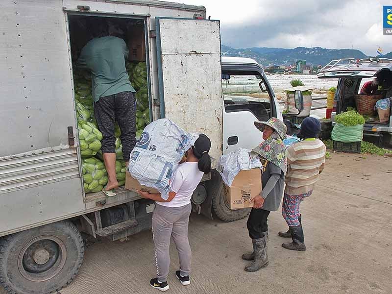 Lawyers' group formed to help Benguet farmers