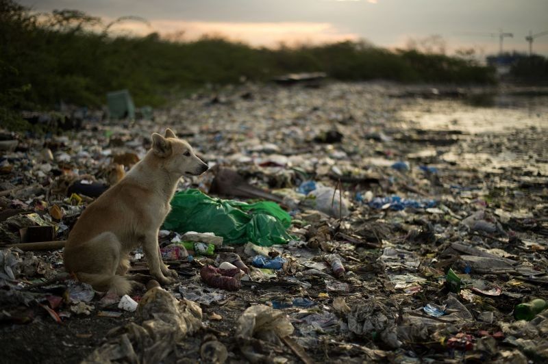 Senate urged to pass 'tougher, more comprehensive' bill banning single-use plastics