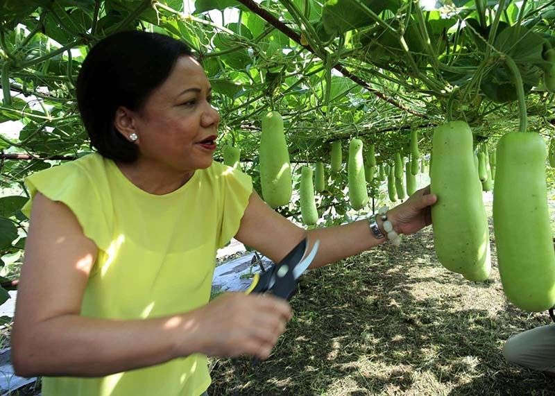 Villar Sipag Home Gardening Program champions food security, nutrition and income