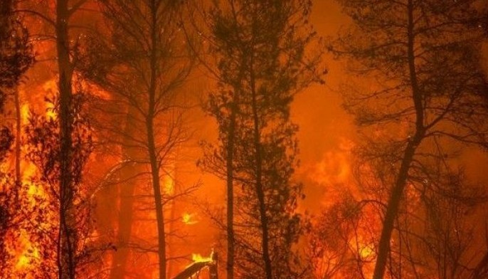 Rain helps firefighters in Greece but flare-ups continue