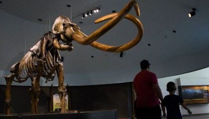 In the footsteps of a woolly mammoth, 17,000 years ago
